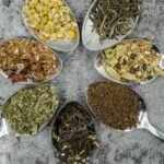 High-Altitude Tea Harvesting: The Ancient Terraces of Darjeeling